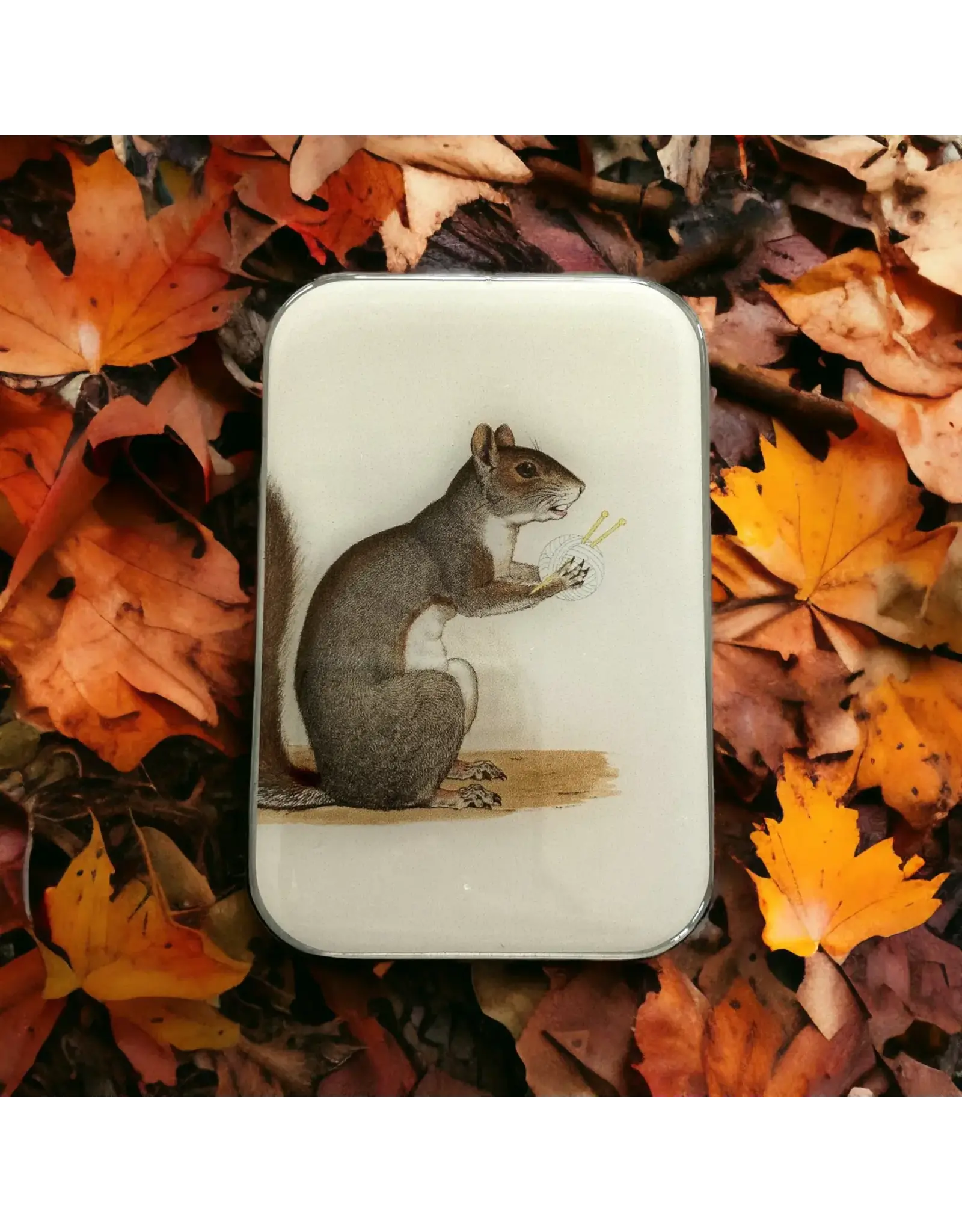 Firefly Notes Squirrel Notions Tin - Large - Firefly Notes