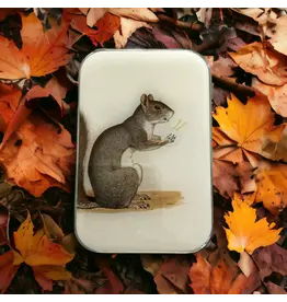 Firefly Notes Squirrel Notions Tin - Large - Firefly Notes