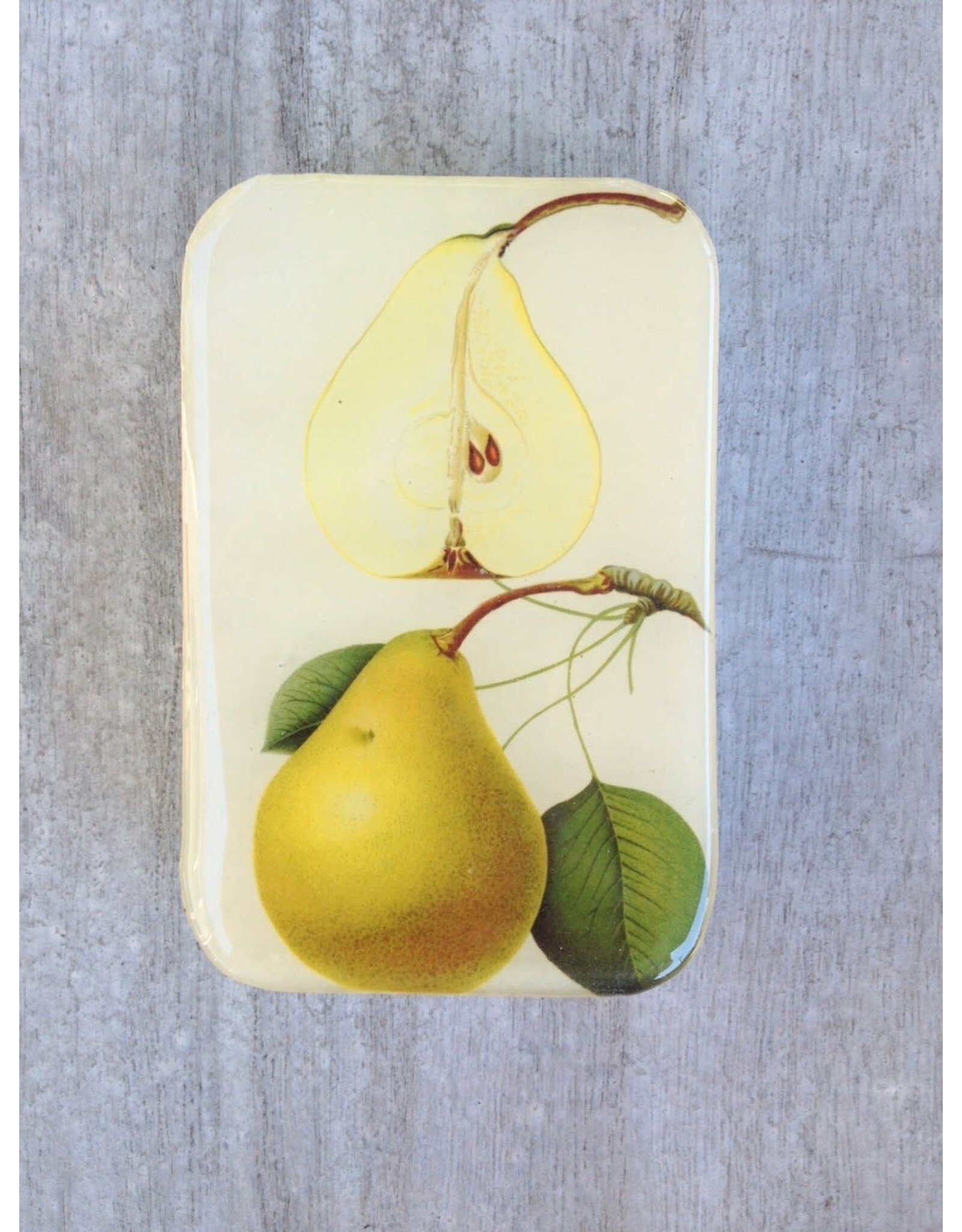 Botanical Pear notions tin - Large - Firefly Notes Tins