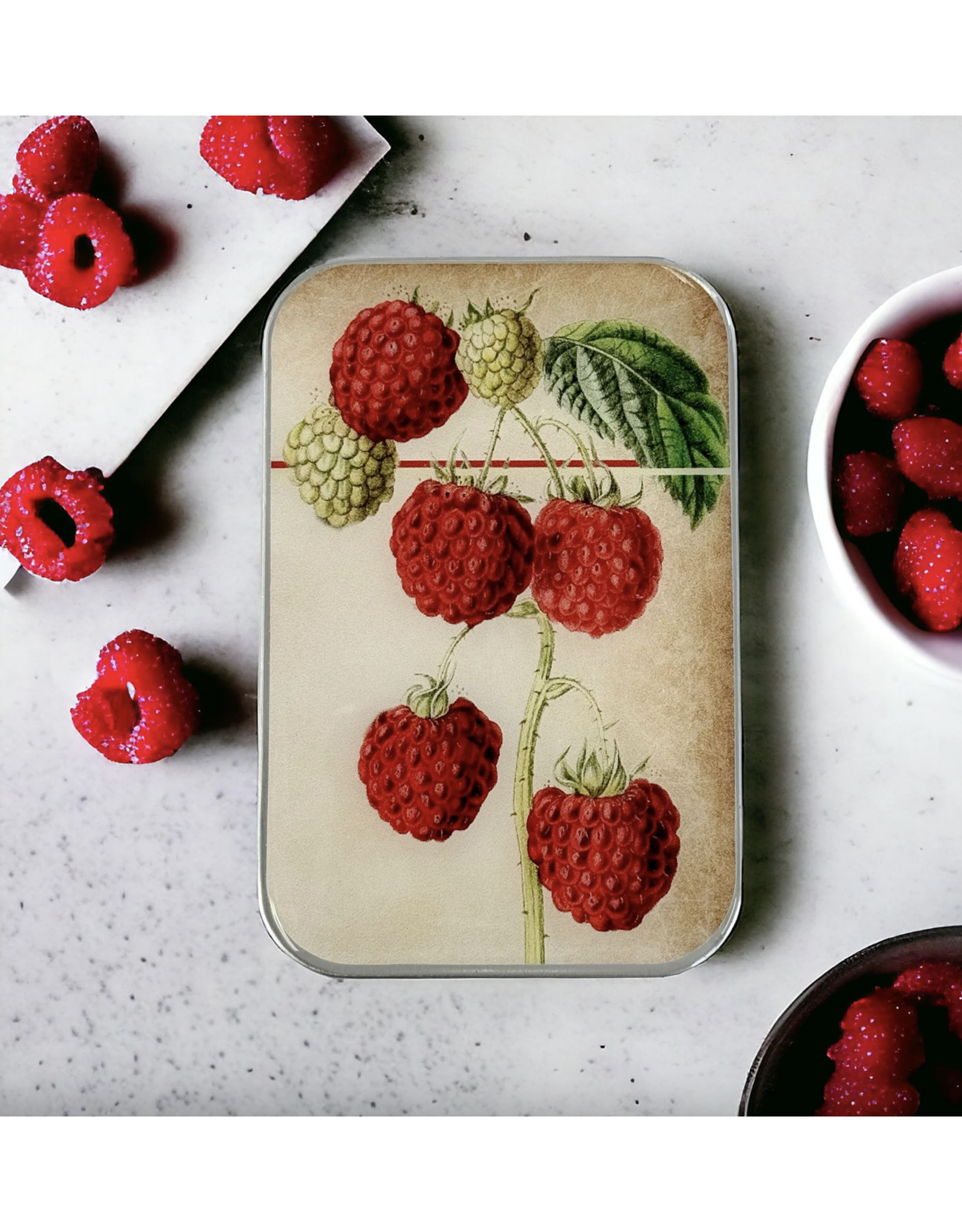 Firefly Notes Raspberry notions tin - Large - Firefly Notes Tins