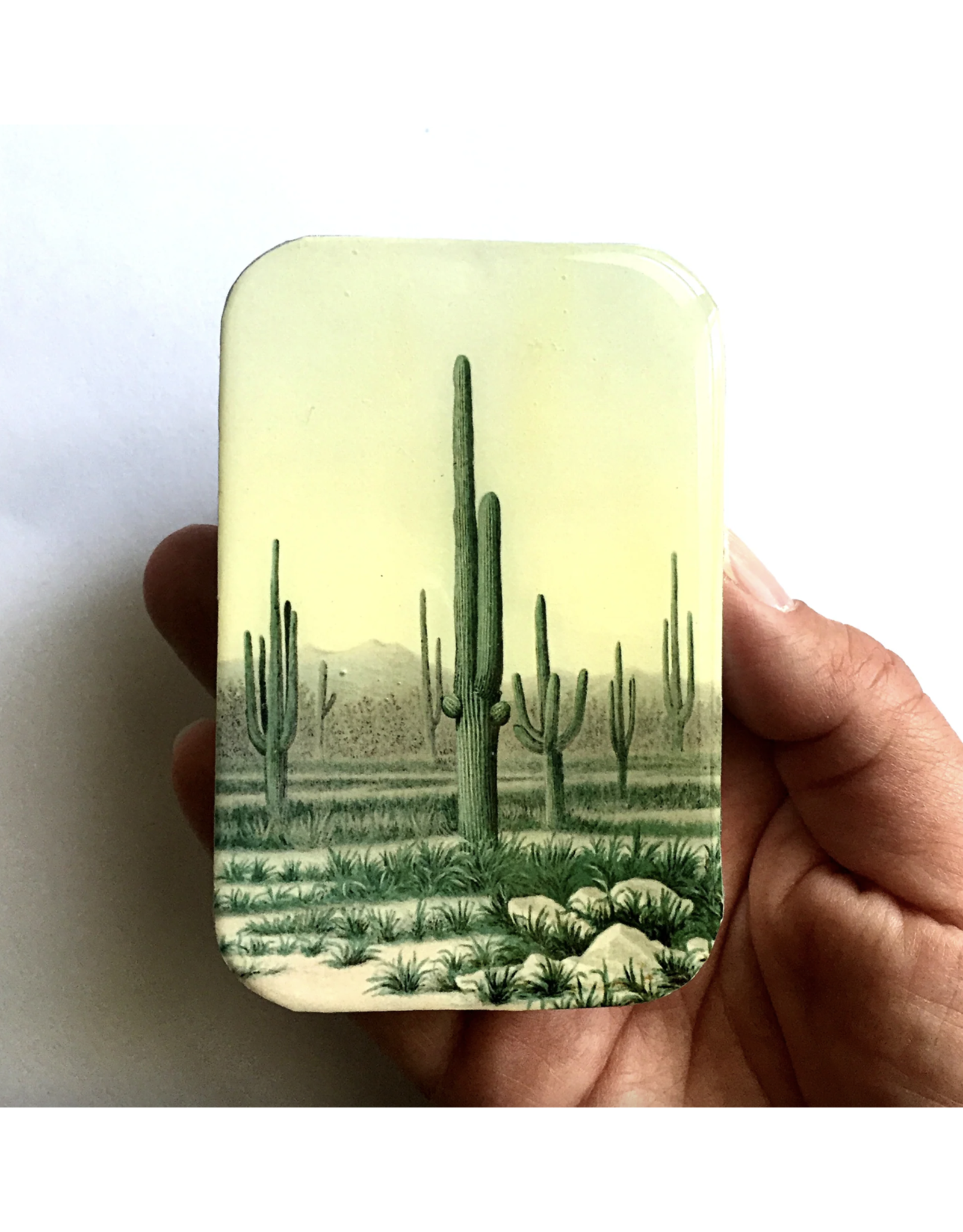 Firefly Notes Desert Cactus notions tin - Large - Firefly Notes