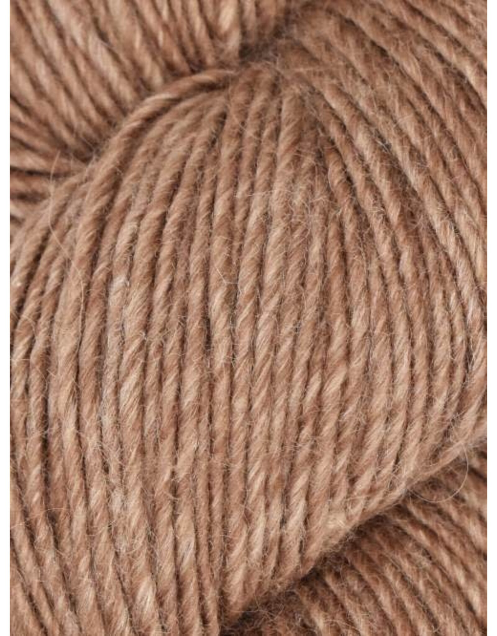 Juniper Moon 90 Nutmeg - Moonshine - Juniper Moon