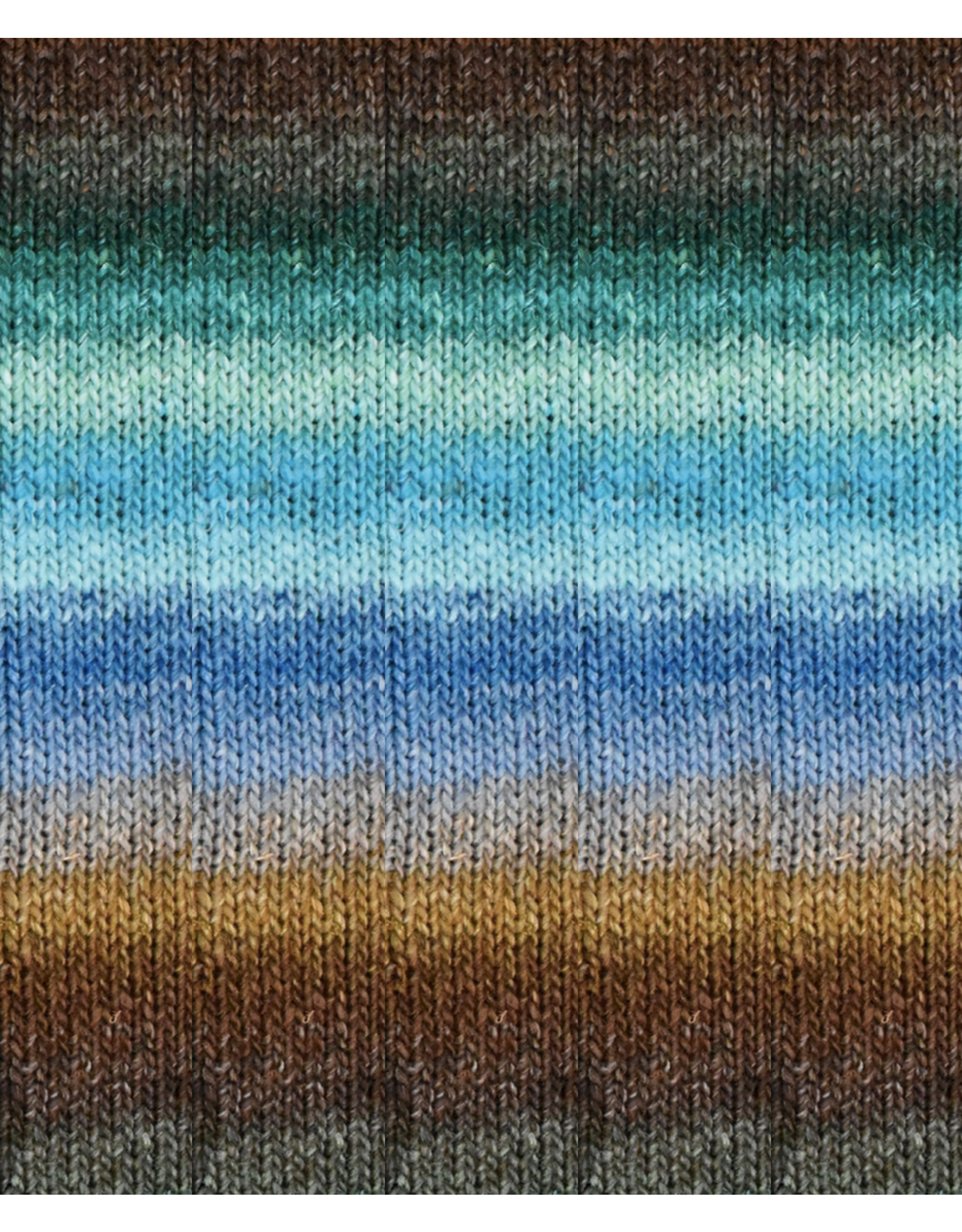 Noro 531 Yasugi - Silk Garden Sock - Noro