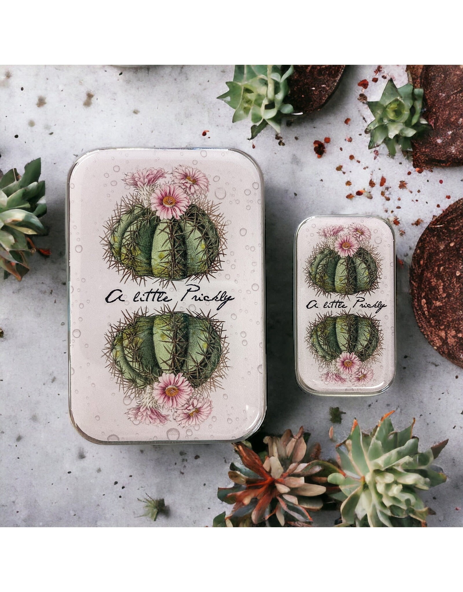 Firefly Notes A Little Prickly / Cactus notions tin - Large - Firefly Notes Tins