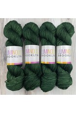Luminous Brooklyn Orion - Sport - Luminous Brooklyn