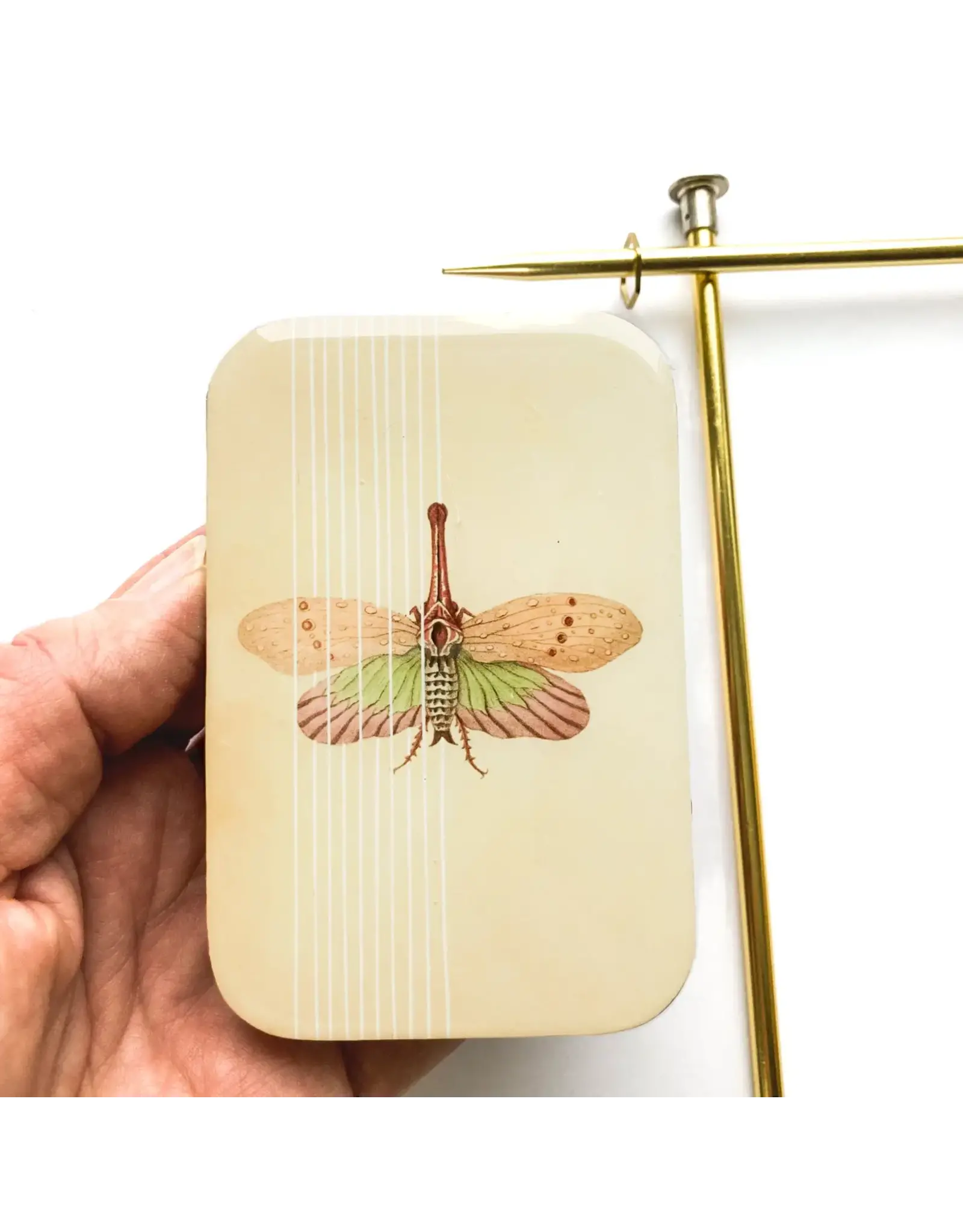 Firefly Notes Spring Moth notions tin - Large - Firefly Notes Tins