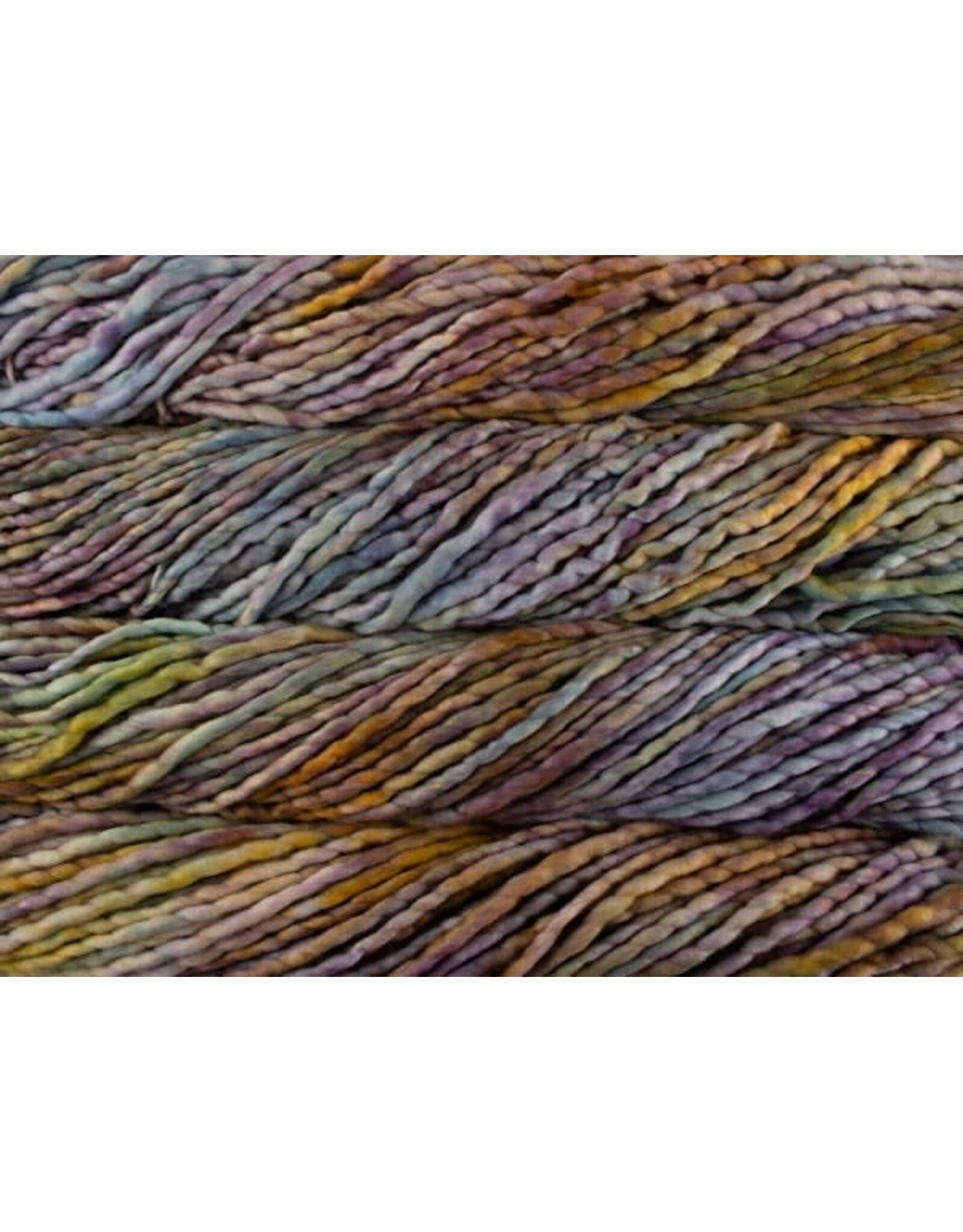 Malabrigo Dancing Leaves - Rasta - Malabrigo