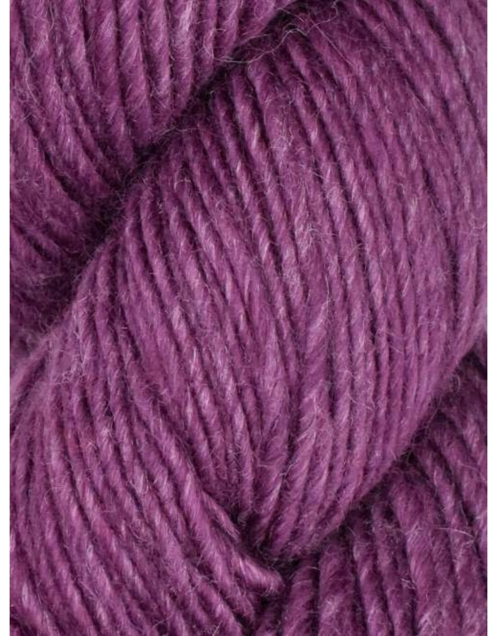 Juniper Moon 88 Sugarplum - Moonshine - Juniper Moon