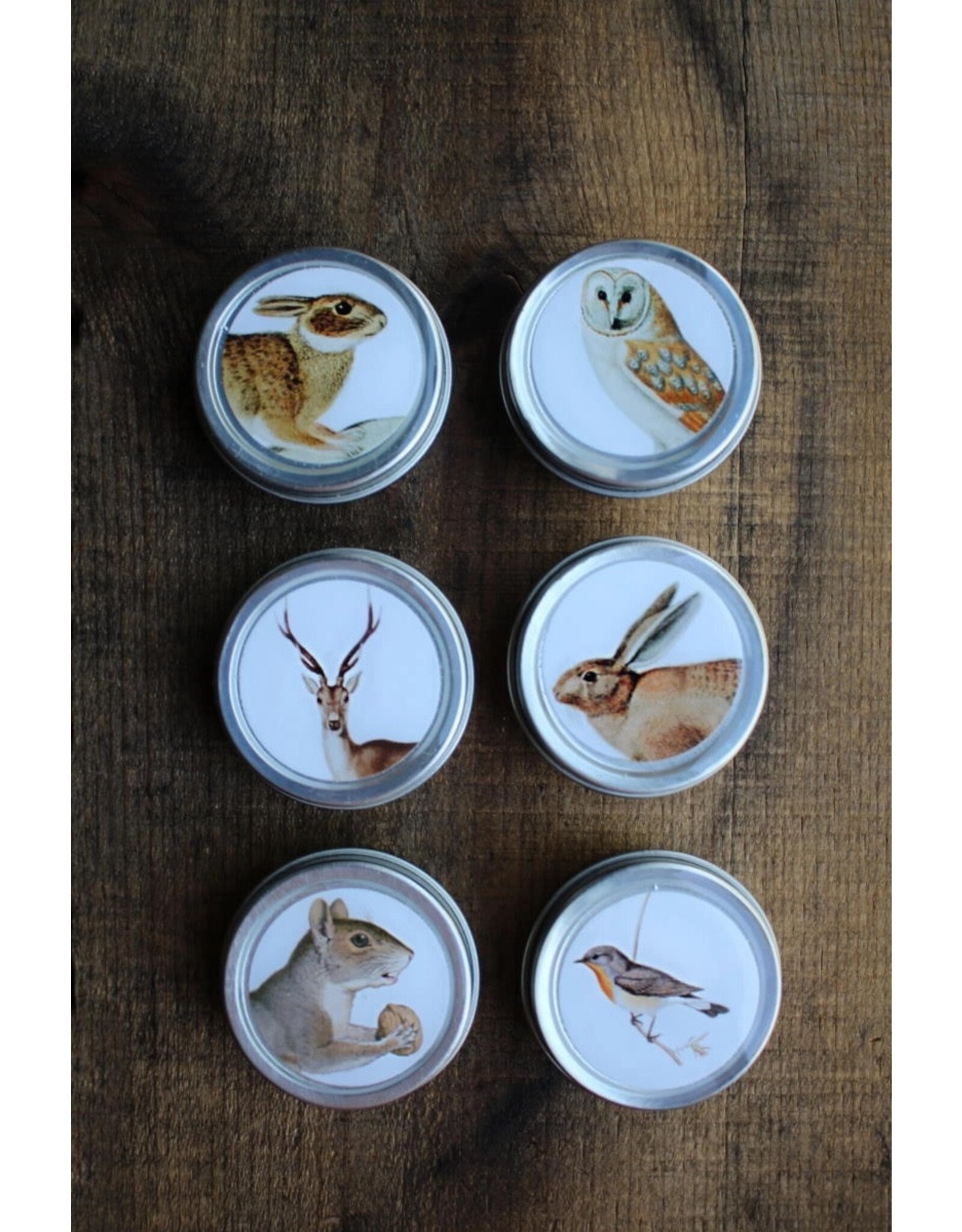 NNK Press Forest Friends Owl Mini Marker Tin - NNK Press