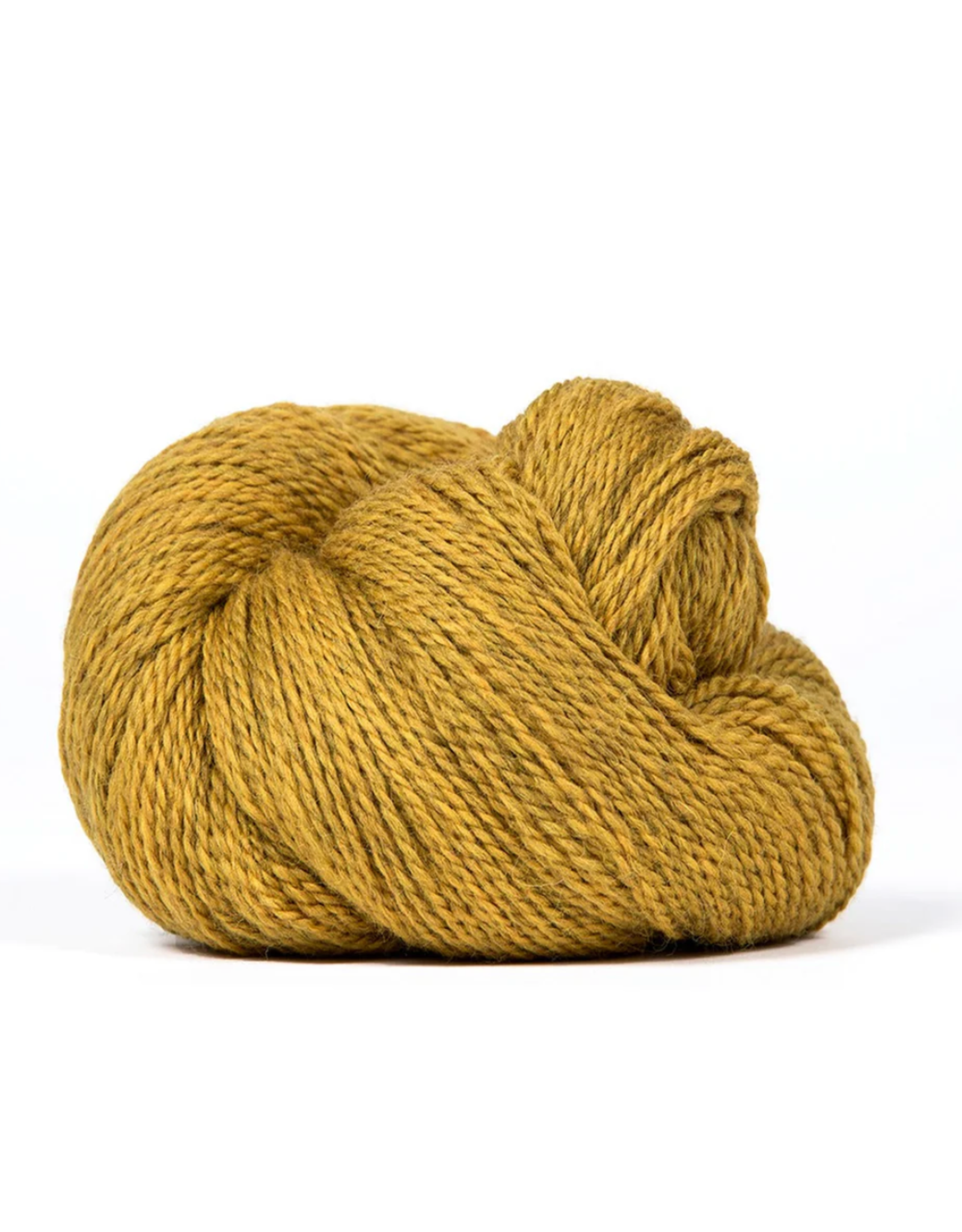 Kelbourne Woolens Sunflower Heather 709 - Scout - Kelbourne