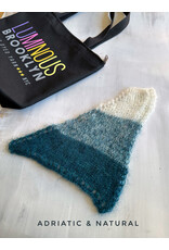 Adriatic & Natural Speedwell Shawl Kit #8