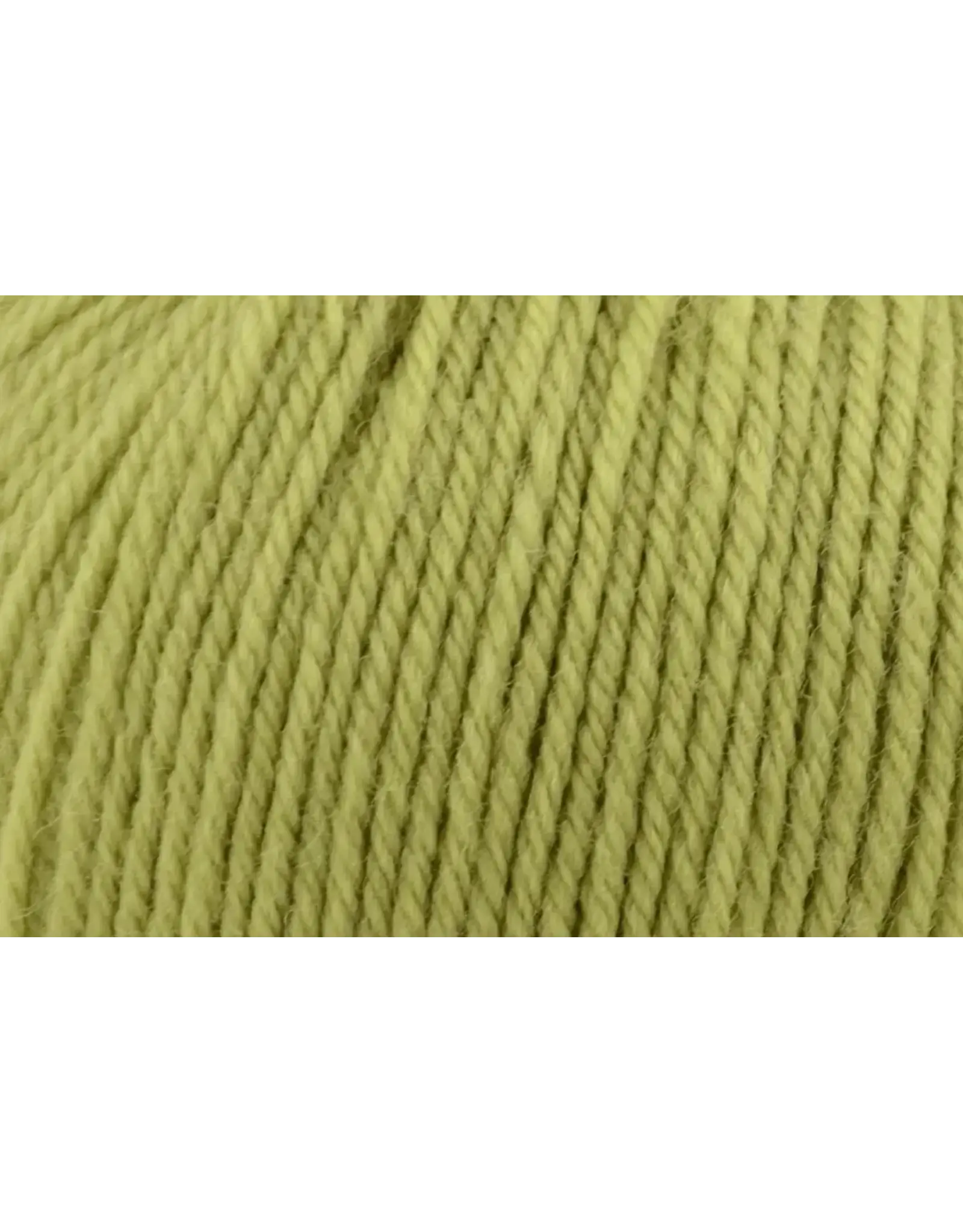 Universal Yarn Lime Tree 909 - Deluxe Bulky Superwash - Universal Yarn
