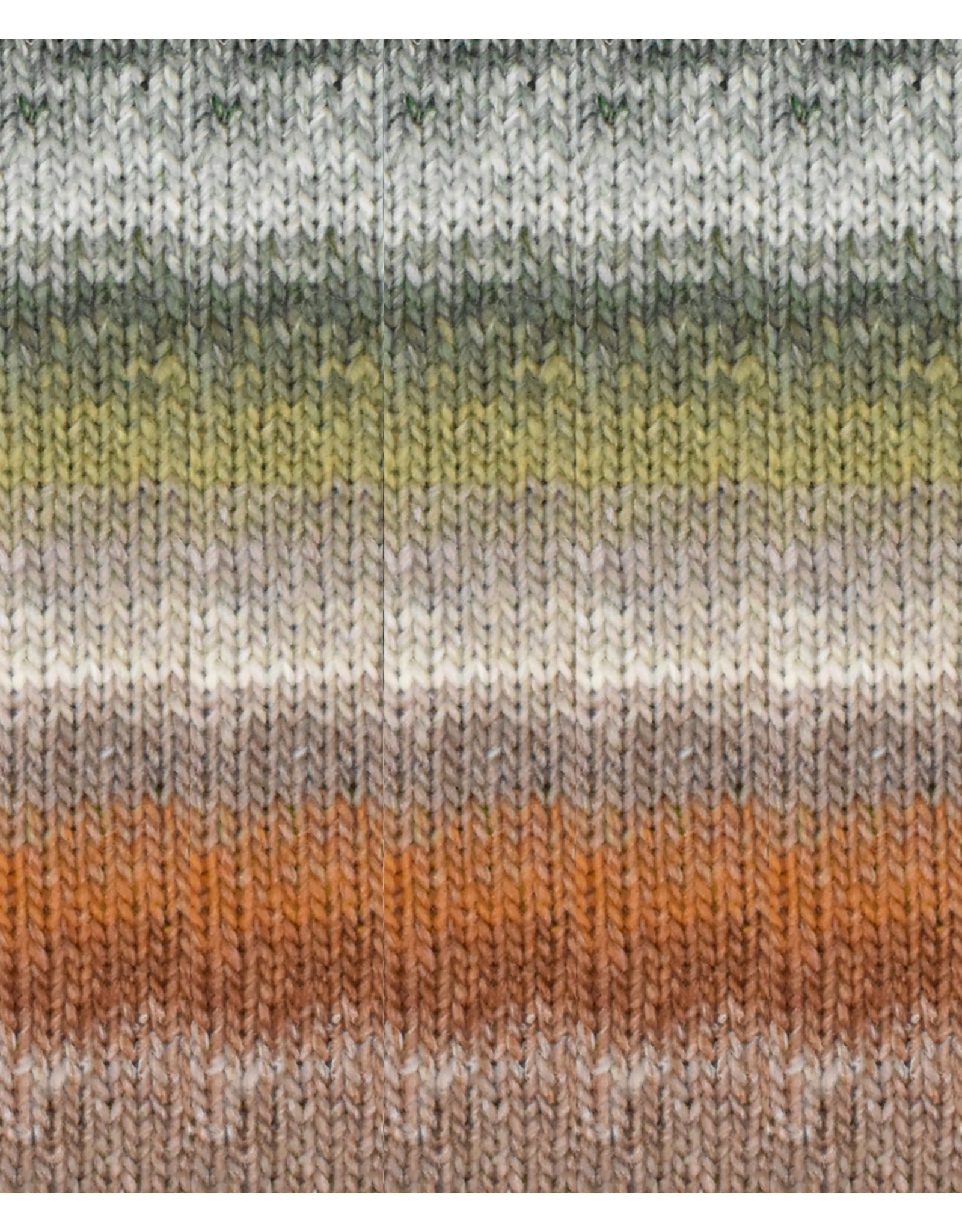 Noro 543 Unnan - Silk Garden - Noro