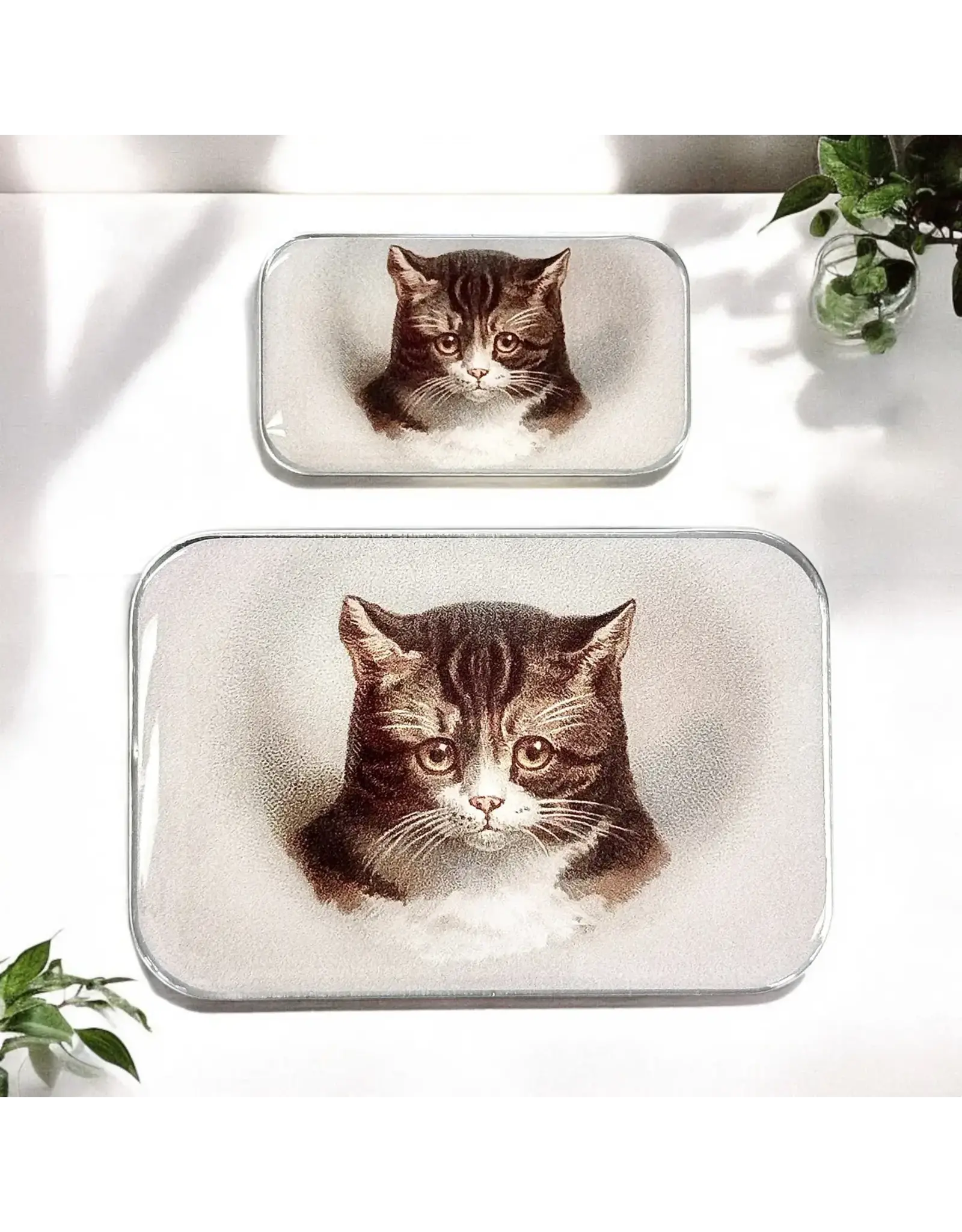 Firefly Notes Brown Cat notions tin - Large - Firefly Notes Tins