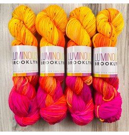 Luminous Brooklyn Danceteria - Dazzling DK - Luminous Brooklyn