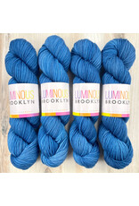 Luminous Brooklyn Vermeer - Sport - Luminous Brooklyn