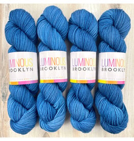 Luminous Brooklyn Vermeer - Sport - Luminous Brooklyn