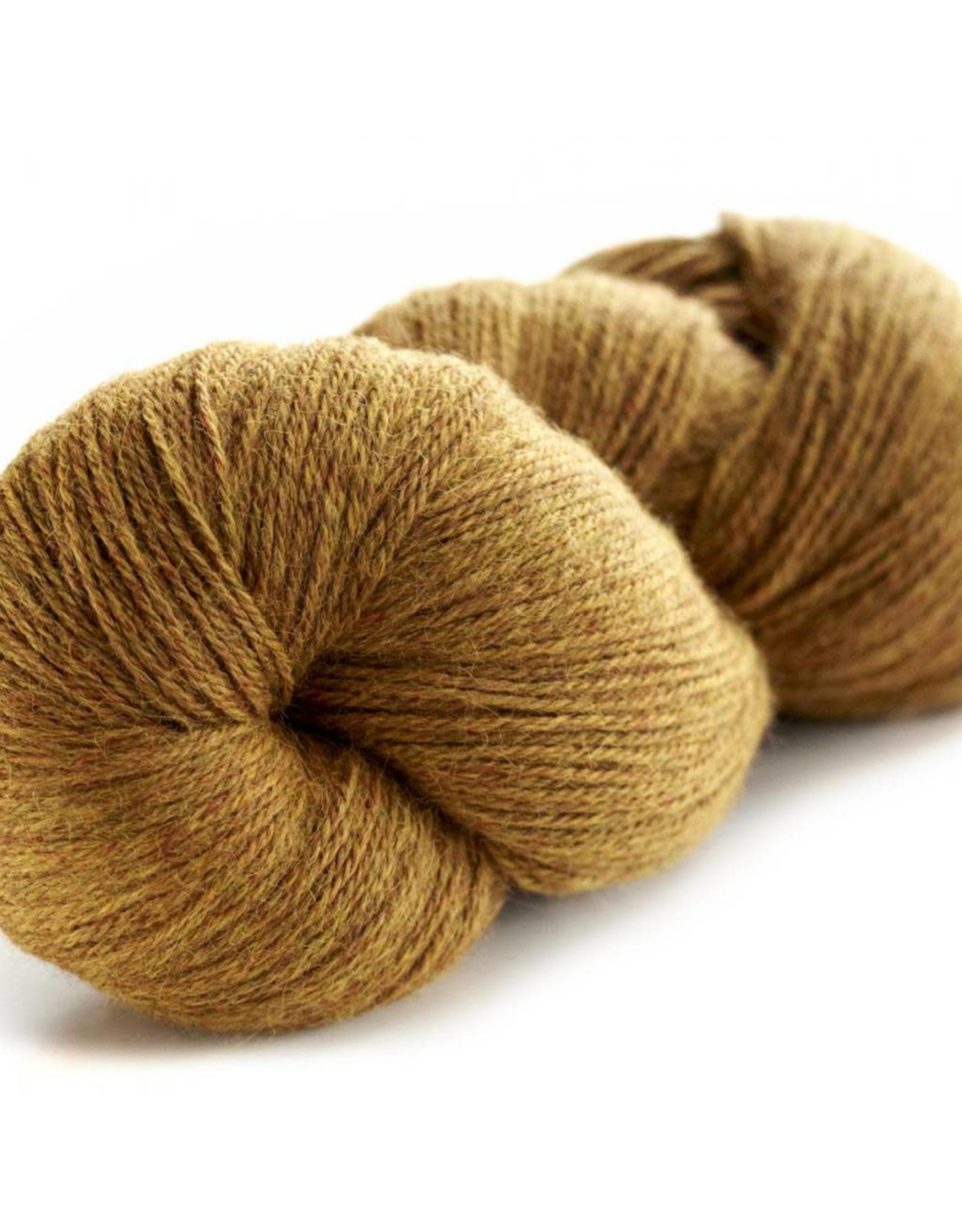 Galler Mustard - Prime Alpaca - Galler
