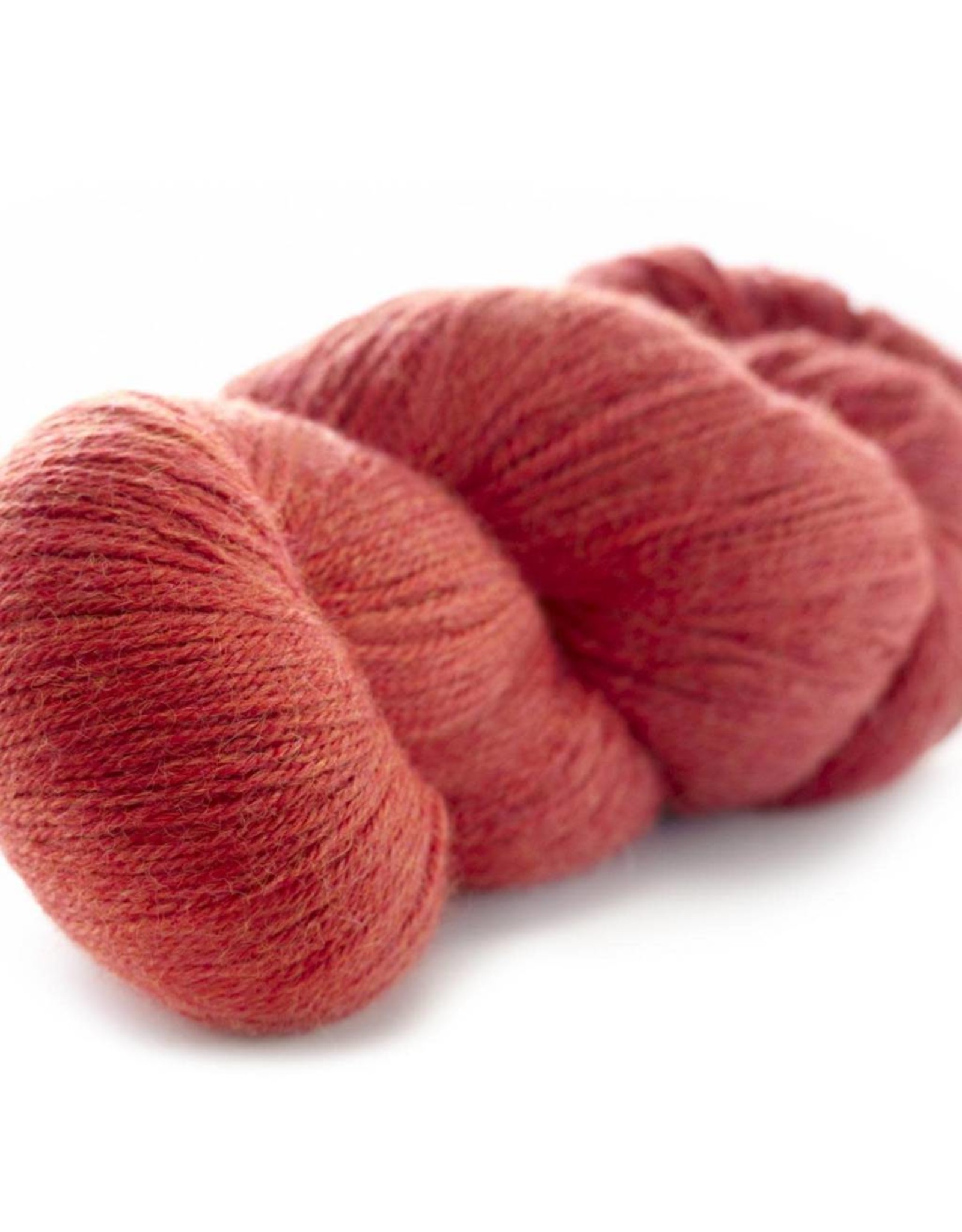 Galler Poppy - Prime Alpaca - Galler