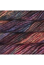Malabrigo Aniversario - Rasta - Malabrigo