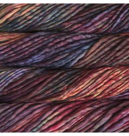 Malabrigo Aniversario - Rasta - Malabrigo