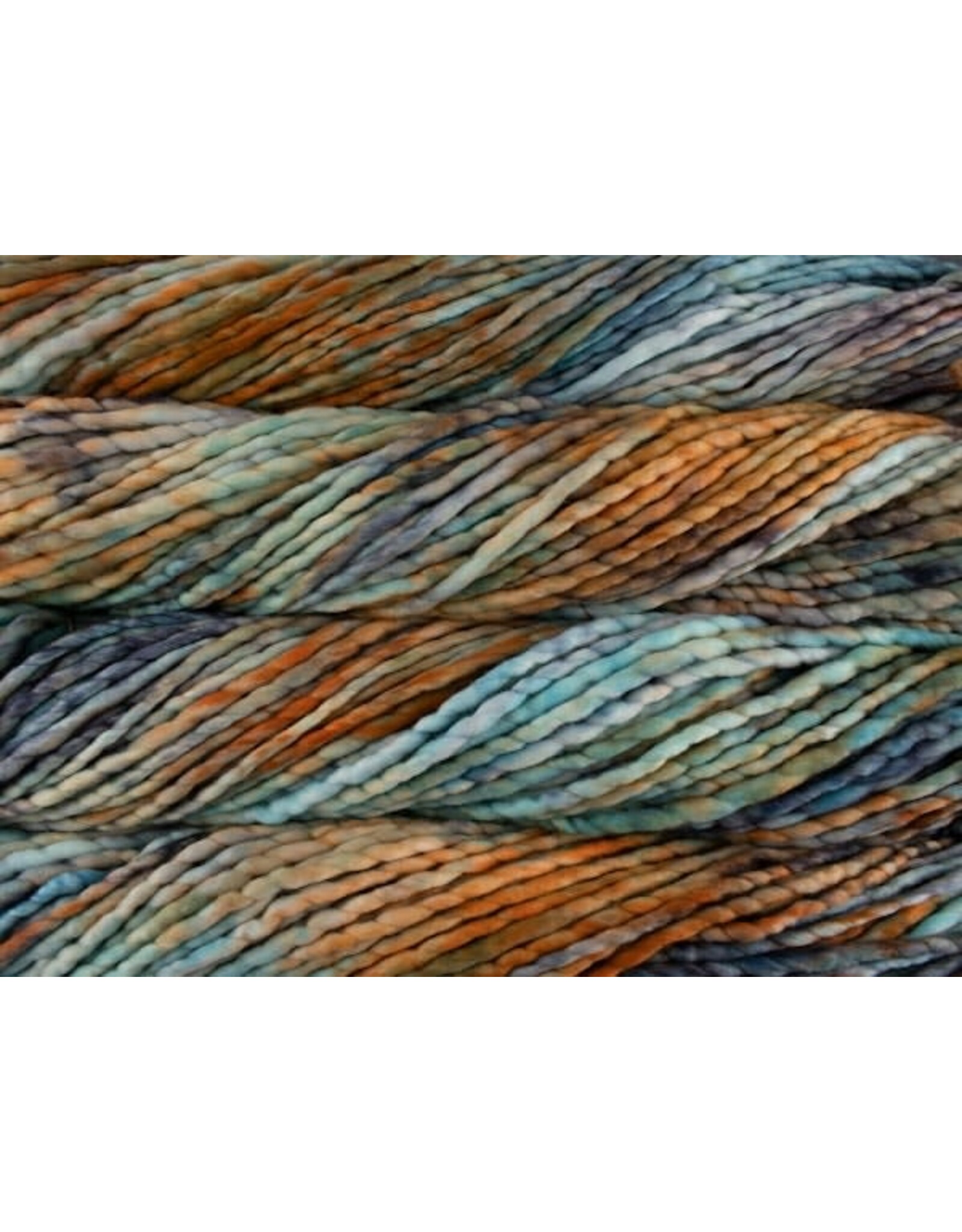 Malabrigo Amphibian - Rasta - Malabrigo