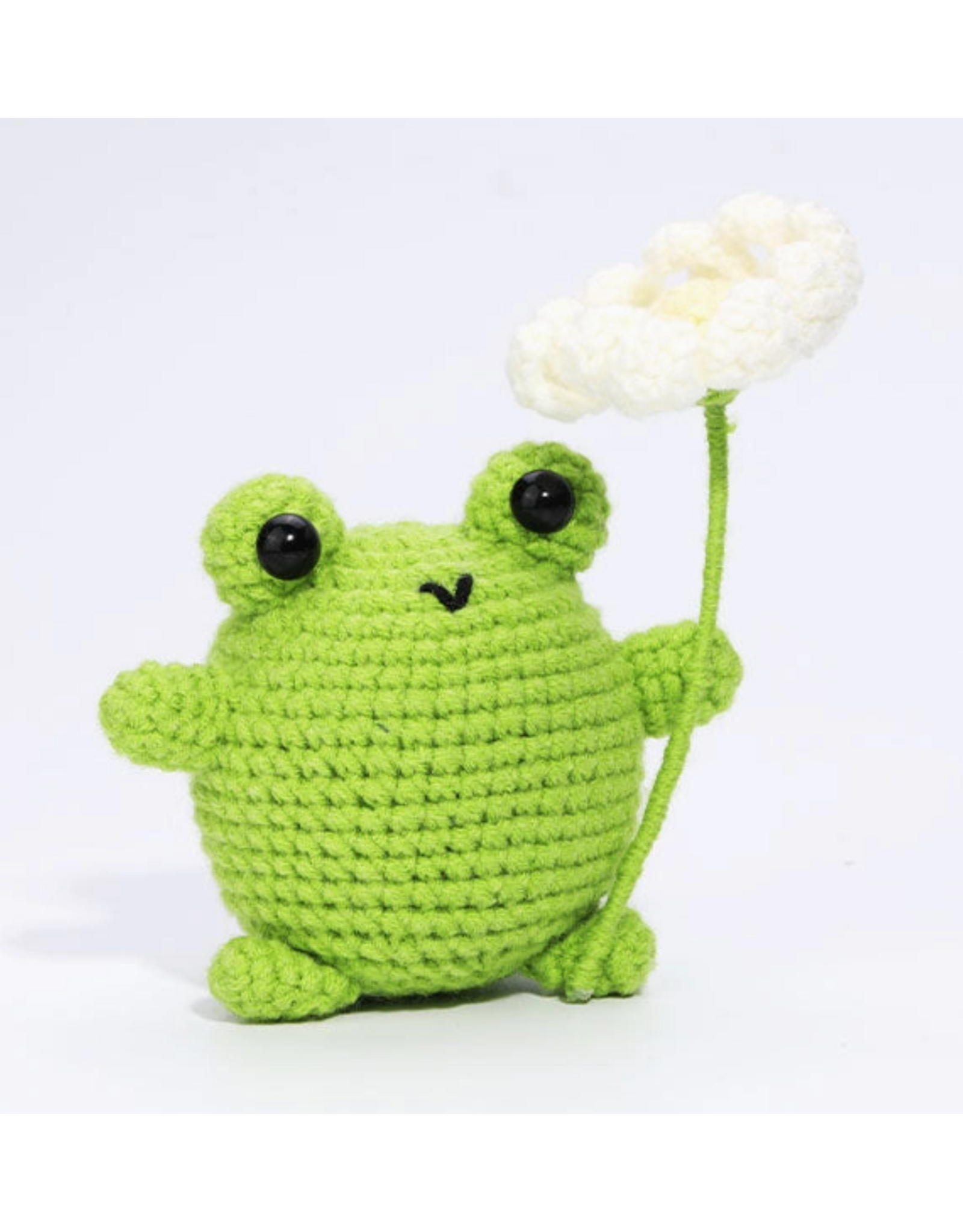 The Loop Brigade The Loop Brigade: Diy Mini Crochet Kit - Bogart the Frog