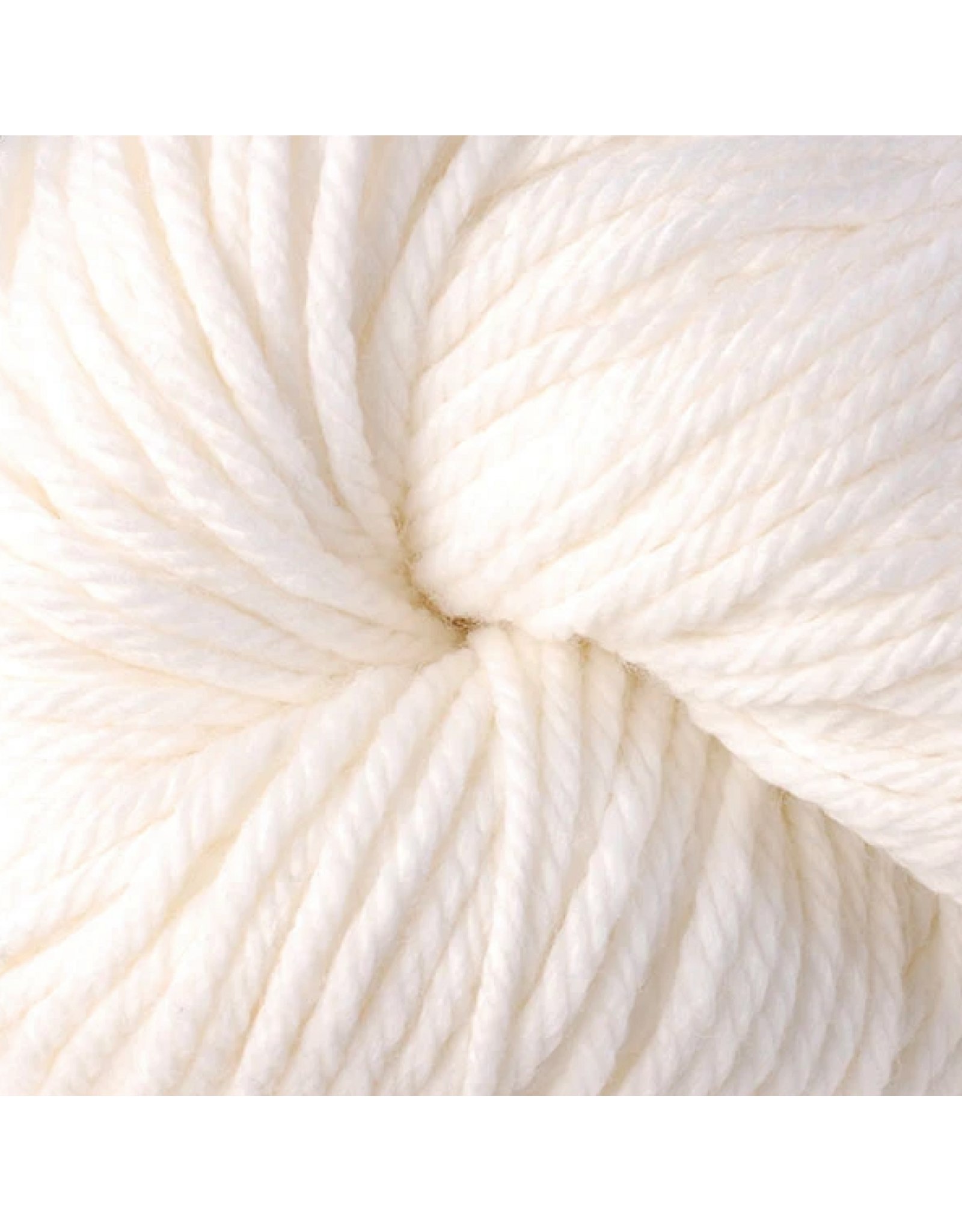 6100 Snow Day - Vintage Chunky - Berroco