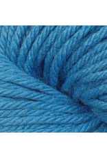 6149 Forget Me Not - Vintage Chunky - Berroco