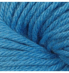 6149 Forget Me Not - Vintage Chunky - Berroco