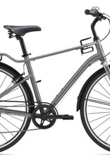 giant momentum street