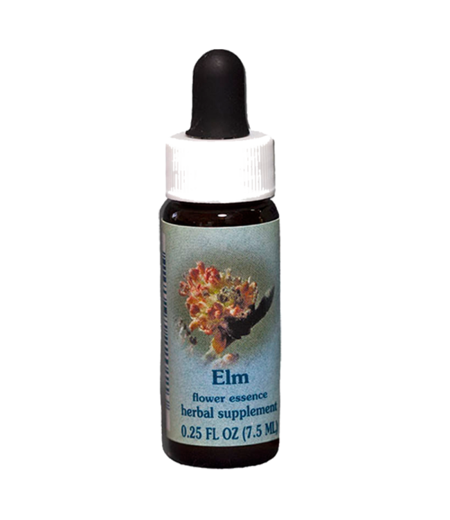 Healingherbs Elm Flower Essences 7.5ml