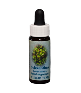 Healingherbs Scleranthus Flower Essences 7.5ml
