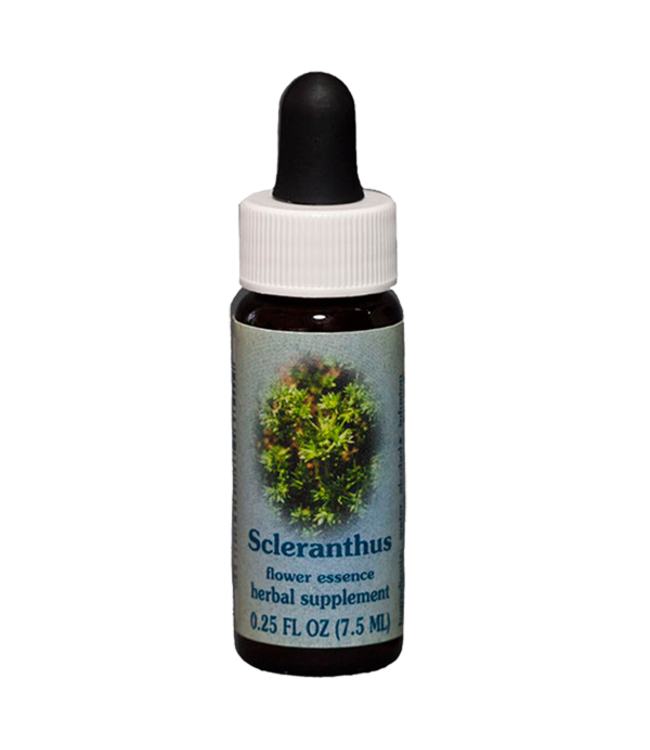 Healingherbs Scleranthus Flower Essences 7.5ml