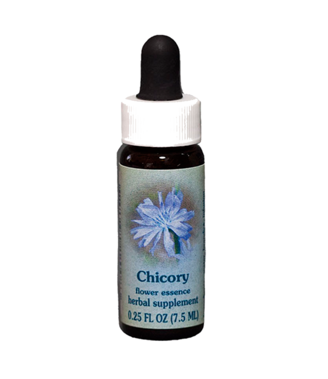 Healingherbs Chicory Flower Essences 7.5ml
