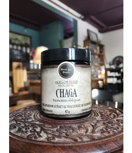 Chaga Mushroom Extract, powder 45g