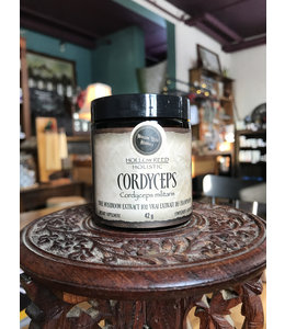 Cordyceps Mushroom Extract, Powder 45g