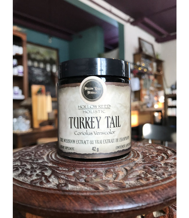 Turkey Tail Mushroom Extract, powder 42g