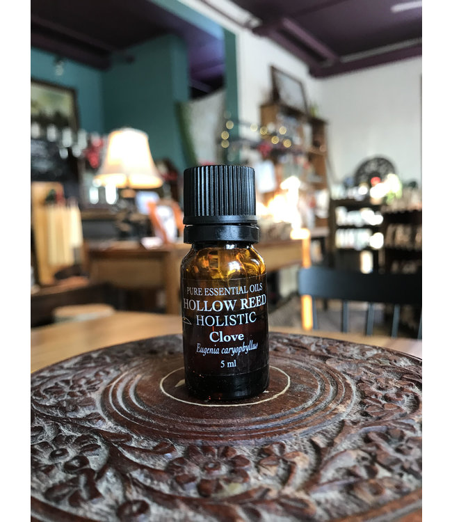 Hollow Reed Herbals Clove 5 ml