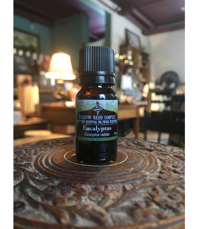 Hollow Reed Herbals Eucalyptus 10ml