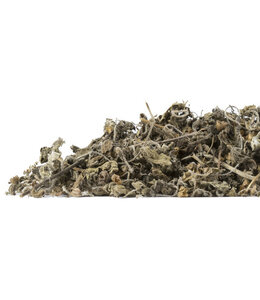 Holy Basil Leaf, Rama 40g