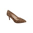 She Means Business Pumps - Cheetah