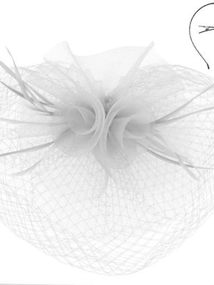 Lady of Class Fascinator - White
