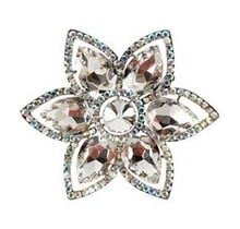 In The Shadow Floral Brooch - Silver Iridescent