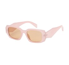 Hidden Hottie Sunglasses