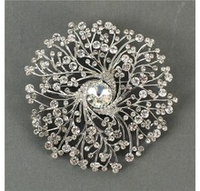 What A Wonder Brooch - SILVER