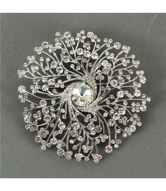 What A Wonder Brooch - SILVER