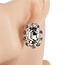 Beauty Queen Knobs - Silver