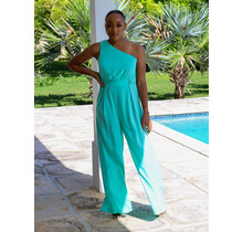 Carried Away One Shoulder Jumpsuit