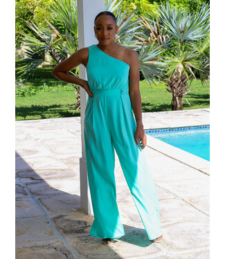 Carried Away One Shoulder Jumpsuit
